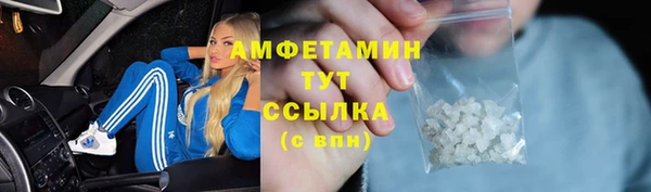 молекула духа Вязьма