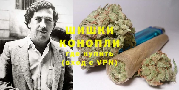 твердый Киселёвск